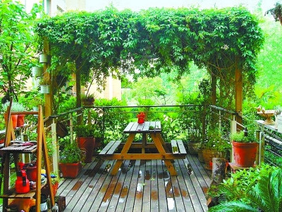 【生活攻略】陽臺還可以種菜！