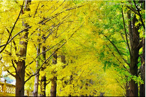 初秋風(fēng)景宜人，富軒全景門窗帶來(lái)新視覺(jué)！