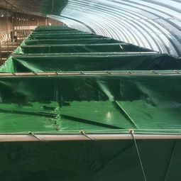 供應水產(chǎn)養(yǎng)殖帆布池 帆布水池養(yǎng)蝦養(yǎng)魚商業(yè)化養(yǎng)殖利潤高