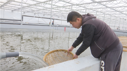 【落實市委全會精神 加快高質量發展】以產業興旺為抓手 以項目建設為引領 推動農業產業提質增效