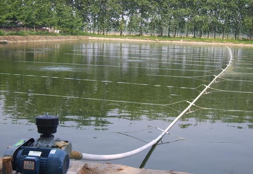 水產(chǎn)養(yǎng)殖羅茨風(fēng)機增氧技術(shù)介紹