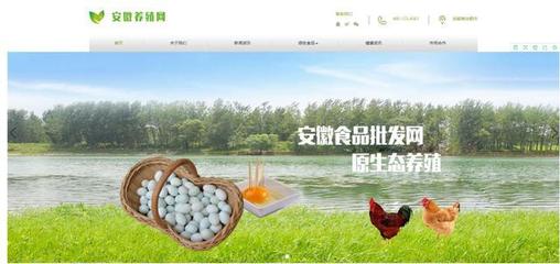 打造一流的行業(yè)平臺(tái)&ldquo;安徽養(yǎng)殖網(wǎng)&rdquo;