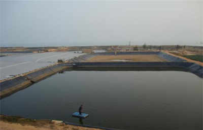 新聞 沙河水產(chǎn)養(yǎng)殖防滲膜 股份 歡迎您