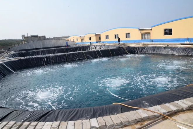 水產界女CEO花25年打造飼料、蝦苗、動保小產業鏈 !如今她聘請泰國專家、聯手正大,發力蝦苗板塊 | 尋找中國好蝦苗