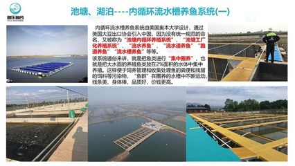 工廠(chǎng)化循環(huán)水養(yǎng)魚(yú)-智慧農(nóng)研(推薦商家)-工廠(chǎng)化養(yǎng)魚(yú)