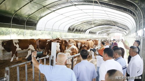 抗病 讓畜禽快速成長(zhǎng) 徹底治理養(yǎng)殖場(chǎng)污染,這家企業(yè) 發(fā)明 養(yǎng)殖 黑科技