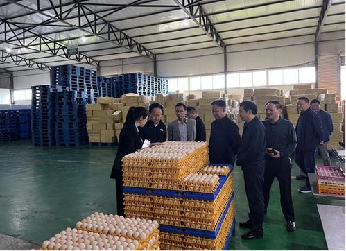 周華榮赴夾江縣開(kāi)展畜禽水產(chǎn)養(yǎng)殖污染防治條例立法調(diào)研