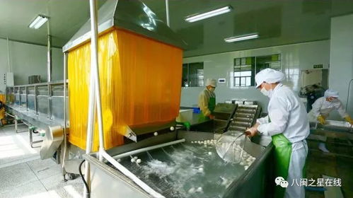 金獎(jiǎng)企業(yè) 旭煌食品 巧用科技助力 讓 魚(yú)丸 國(guó)際旅程更遠(yuǎn)