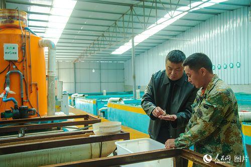 四川營(yíng)山 專家助力水產(chǎn)養(yǎng)殖增收