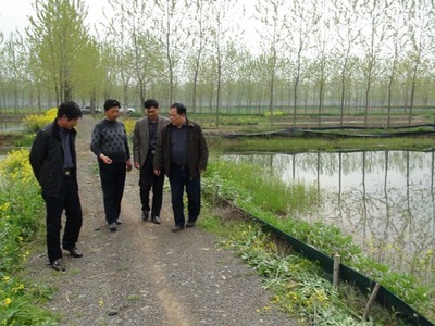 專家來(lái)武漢蝦龍水產(chǎn)養(yǎng)殖開(kāi)發(fā)開(kāi)展龍蝦養(yǎng)殖技術(shù)研發(fā)工作