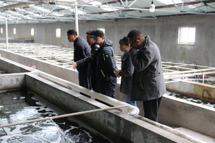 天津市水產(chǎn)產(chǎn)業(yè)技術體系創(chuàng)新團隊首席專家邢克智教授帶隊赴東麗區(qū) 濱海新區(qū)指導水產(chǎn)養(yǎng)殖工作