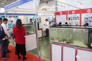 養殖轉型,這里或許有適合你的產品與技術