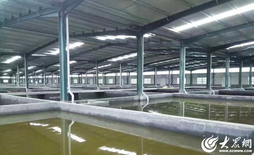 菏澤 水產(chǎn)綠色健康養(yǎng)殖 五大行動(dòng) 助推漁業(yè)養(yǎng)殖轉(zhuǎn)型升級(jí)