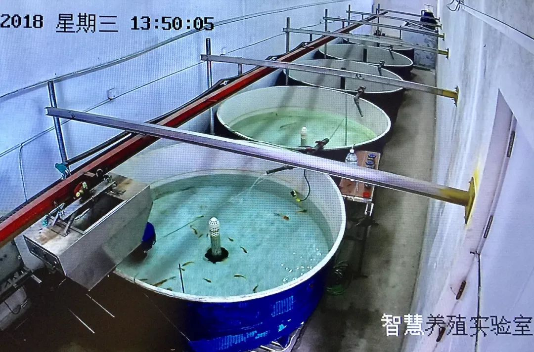 全國媒體看煙臺(tái)!海洋強(qiáng)市的&ldquo;煙臺(tái)范兒&rdquo;占據(jù)頭條!