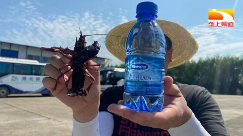 515 科技服務行動助力湖北水產養殖行業高質量發展