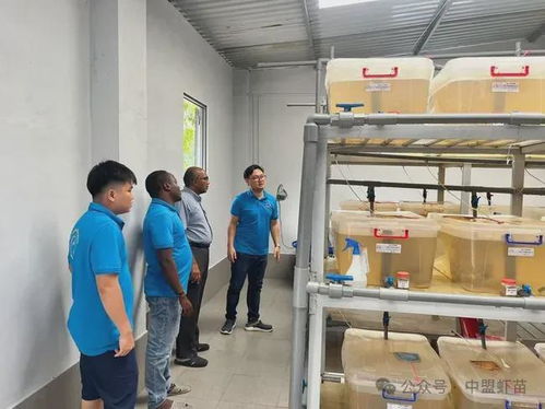 水產(chǎn)養(yǎng)殖界又出新利器 原來(lái)從椰子提取的這東西,作用原來(lái)這么大