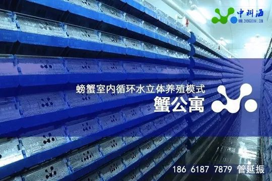 4月，這些先進(jìn)的養(yǎng)殖設(shè)備和技術(shù)將集體亮相廈門(mén) | ‘金磚’水產(chǎn)盛會(huì)邀請(qǐng)函